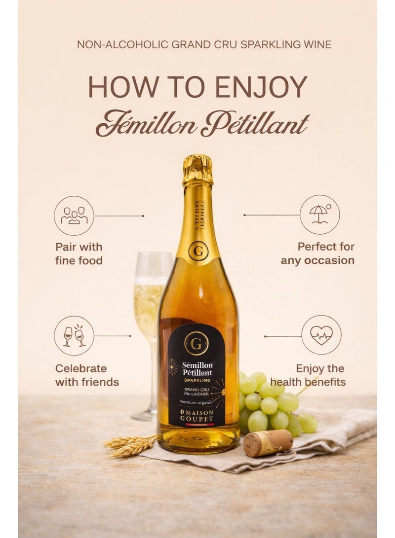 Maison Goubet Semillon Petillant Sparkling Drink 0% Alcohol Non Alcoholic Organic Grapes 750ml - Image 3